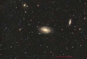 m81_82_juni_2025